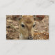 Bambi hjortvisitkort visitkort (Back)