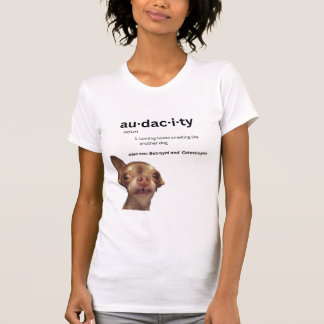 Bambias auktoritet - Kvinnors T-Shirt