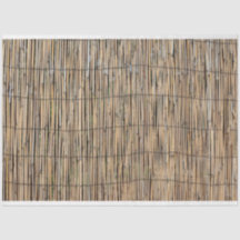 Bamboo