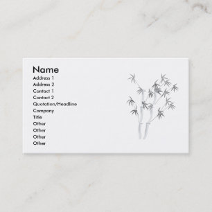 Bamboo-2 namn, adress 1, adress 2, kontakt 1… visitkort