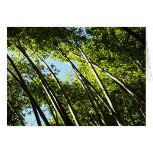 Bamboo Botanical Nature Hälsningskort