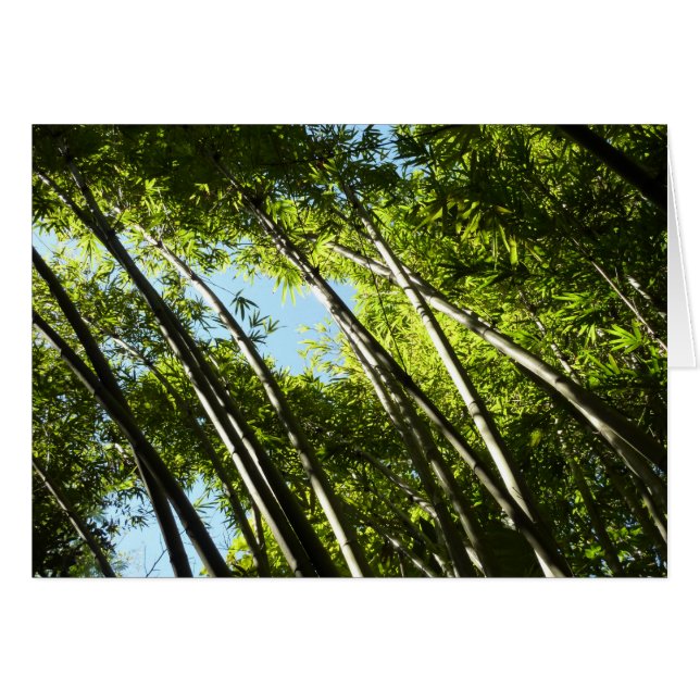 Bamboo Botanical Nature Hälsningskort (Framsidan Horizontal)
