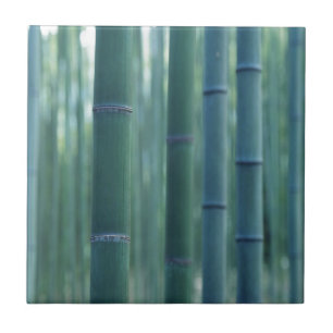 Bamboo Break Kakelplatta