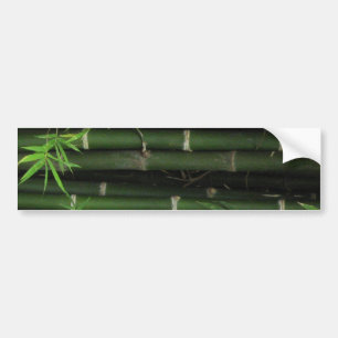 Bamboo ... Fao Rai, Nong Khai, Isaan, Thailand Bildekal