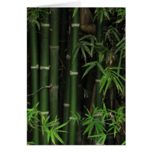 Bamboo ... Fao Rai, Nong Khai, Isaan, Thailand Hälsningskort