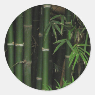 Bamboo ... Fao Rai, Nong Khai, Isaan, Thailand Runt Klistermärke