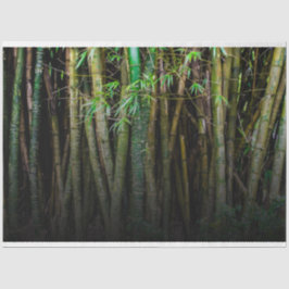 Bamboo Forest Decoupage 11 Bakgrund 2