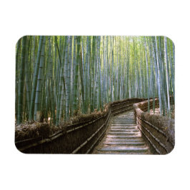 Bamboo Forest i Kyoto Magnet
