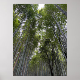 Bamboo Forest - Kyoto Poster