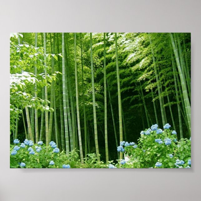 Bamboo Forest Poster (Framsidan)