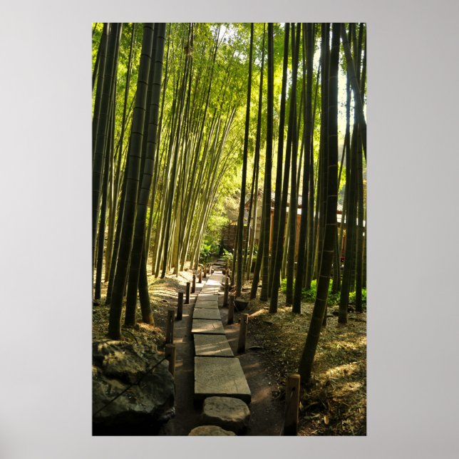 Bamboo Forest Poster (Framsidan)