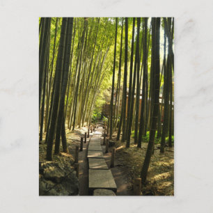 Bamboo Forest Vykort