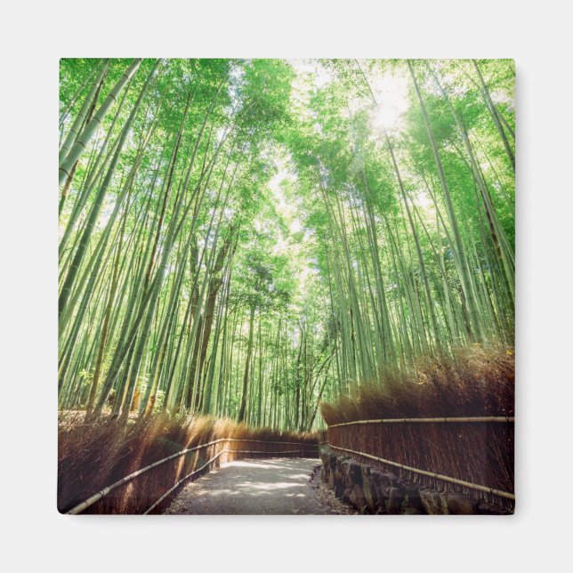 Bamboo Grove | Arashiyama, Kyoto, Japan Magnet (Framsidan)