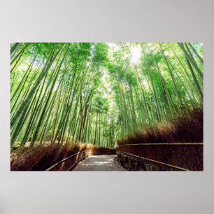 Bamboo Grove Arashiyama, Kyoto, Japan Poster