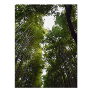 bamboo grove dec fototryck