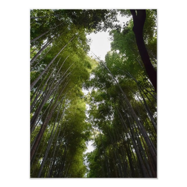 bamboo grove dec fototryck (Framsidan)