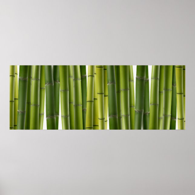 Bamboo Grove Poster (Framsidan)
