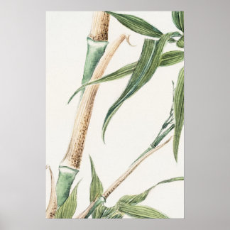 Bamboo Löv Vintage Art Poster