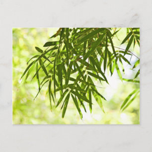 Bamboo lövs vykort