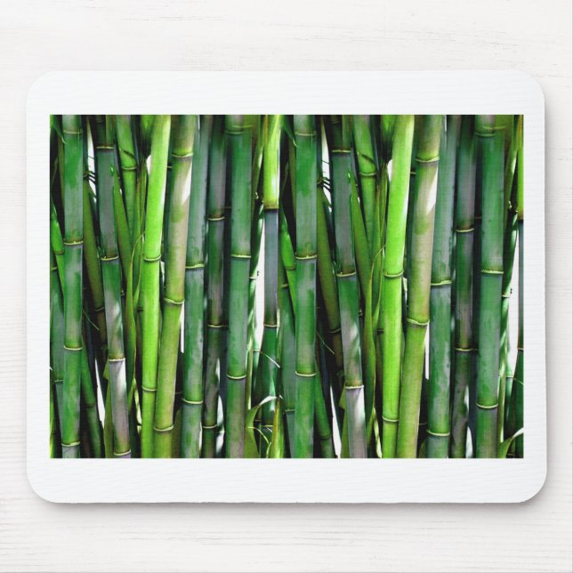 BAMBOO MUSMATTA (Framsidan)