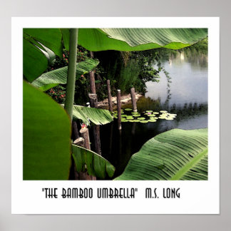Bamboo Parbrella Poster