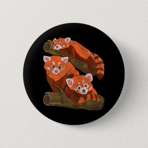 Bamboo Red Pandas Zoo Keeper Wildlife Animal Red Knapp