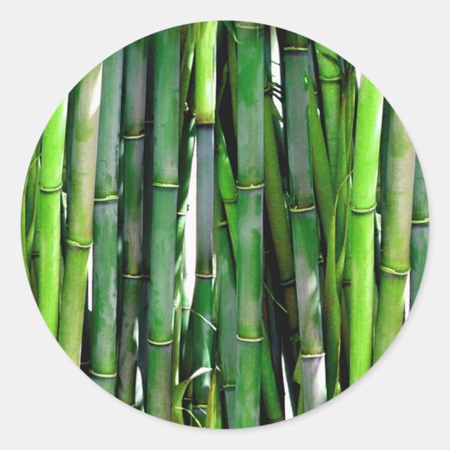BAMBOO RUNT KLISTERMÄRKE (Framsida)