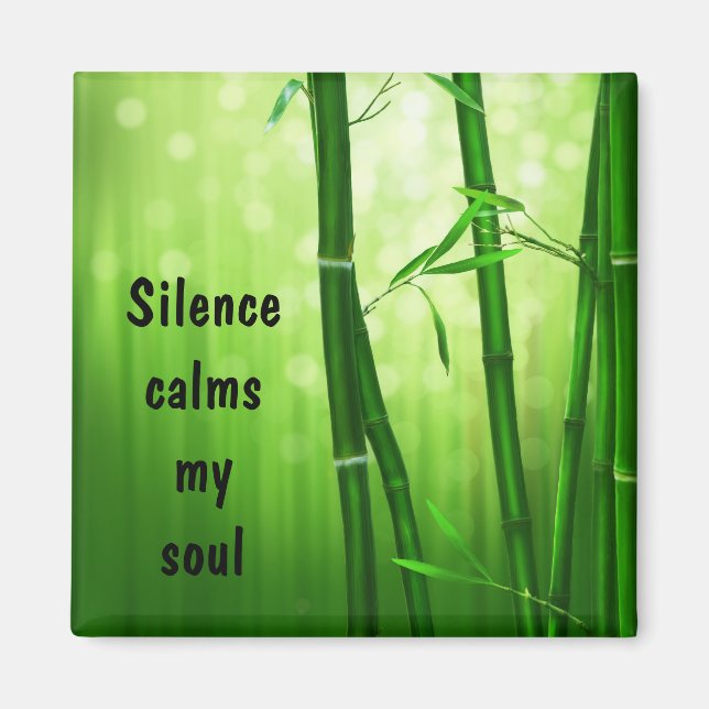 Bamboo - Silence Lugns My Soul Magnet (Framsidan)