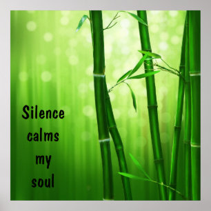Bamboo - Silence Lugns My Soul Poster