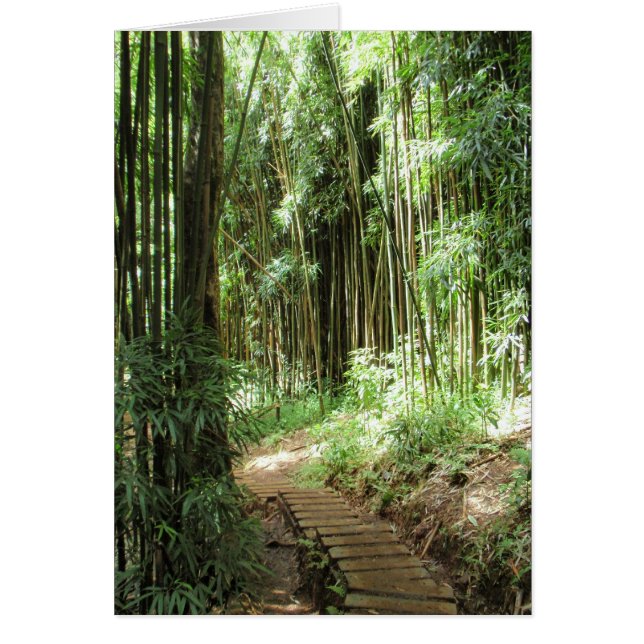 Bamboo Trail Hälsningskort (Framsidan)