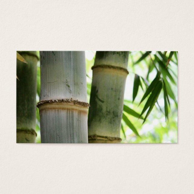 Bamboo Visitkort (Framsidan)