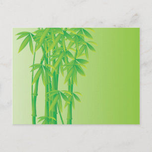 Bamboo Vykort