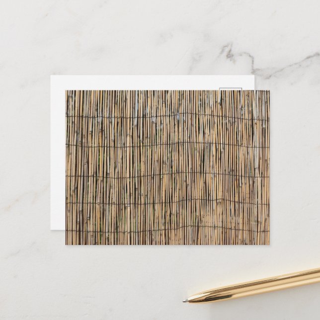 Bamboo Vykort (Fram/Back In Situ)