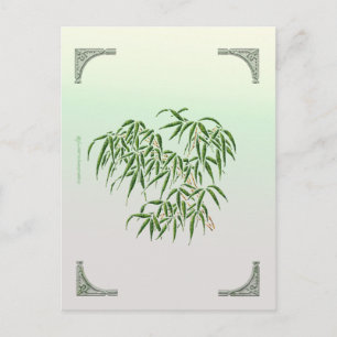 Bamboo-vykort Vykort