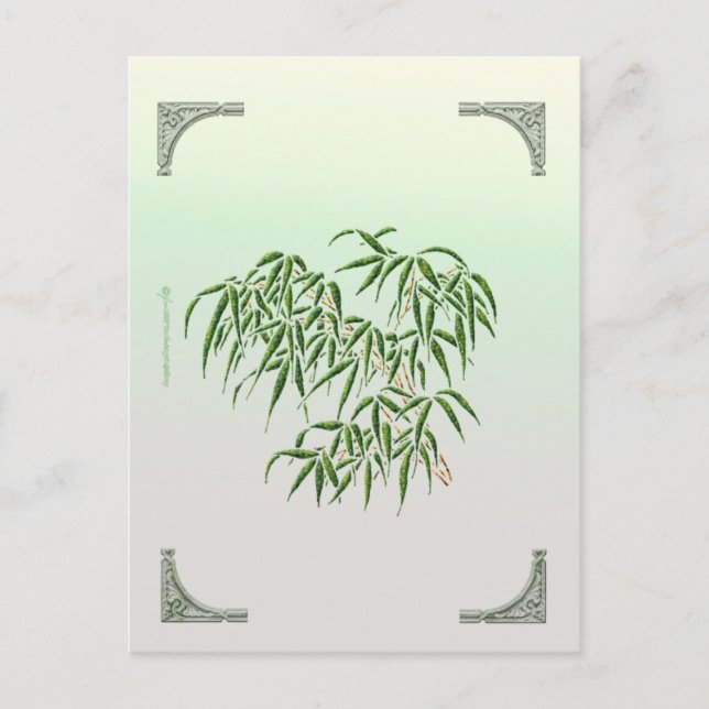 Bamboo-vykort Vykort (Framsida)