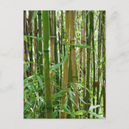 Bamboo-vykort Vykort