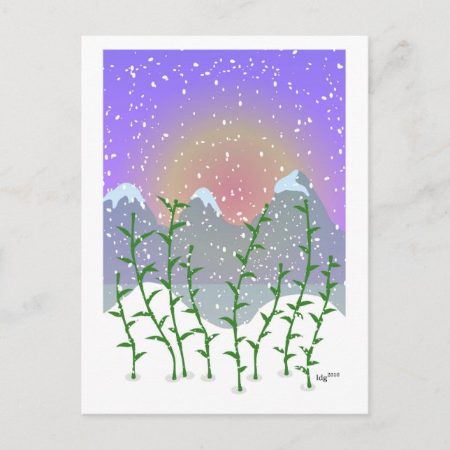 Bamboo Winter-vykort Vykort (Framsida)