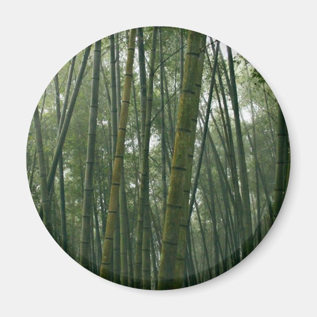 Bamboos Magnet (Framsidan)
