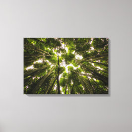 Bamboosskogen Canvastryck