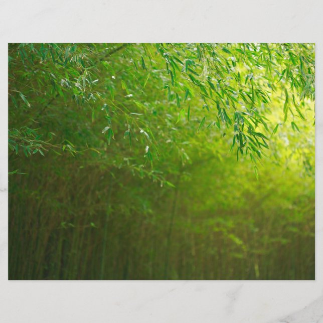 Bamboskog (Framsida)