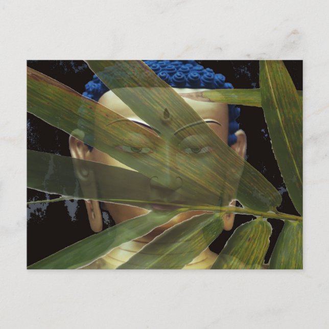 Bambu Buddha Vykort (Framsida)