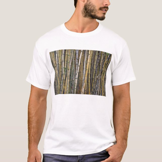 Bambu i Hilo, Hawaii T-shirt (Framsida)