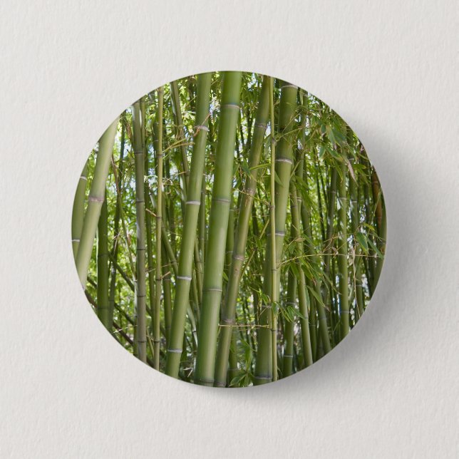 Bambu Knapp (Framsida)