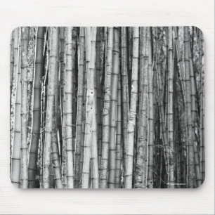 Bambu Musmatta