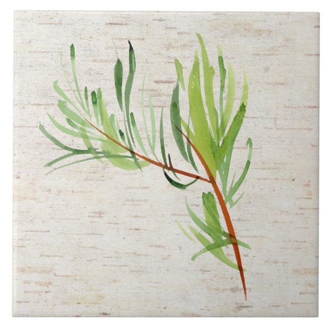 Bambu och Birch Ceramic Tile Kakelplatta (Framsidan)