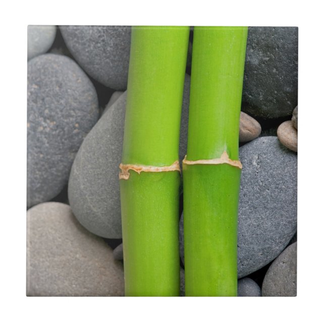 Bambu och pebble kakelplatta (Framsidan)