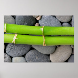 Bambu och pebble poster