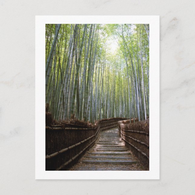 Bambu skogsstig: Sagano, Kyoto Vykort (Framsida)