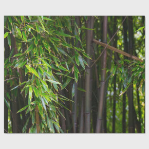Bambu som slår in papper presentpapper