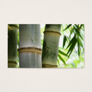 Bambu Visitkort